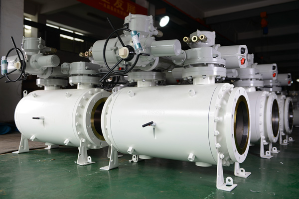 High pressure seal gate valve delivered to German buyer